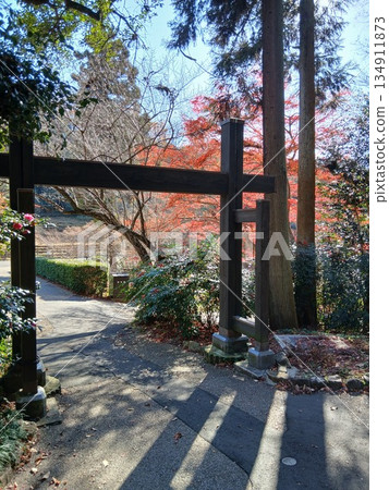 Torii gate and approach to a mountain with beautiful autumn leaves | Autumn nature and tranquil scenery Torii gate and approach to a mountain with beautiful autumn leaves | Autumn nature and tranquil scenery 134911873