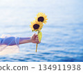 Summer sea and sunflowers 134911938