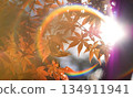 Autumn leaves floating on a rainbow 134911941