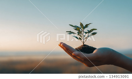 Plants grown in the palm of your hand 134913091