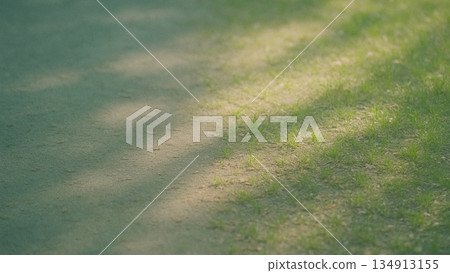 陽光透過樹木灑落在長滿草的土路上，構成了一幅自然的風景。 134913155