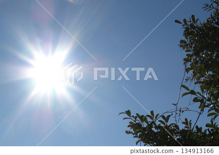 A new year's glow that's different from the usual first sunrise (January 1, 2026) A new year's glow with a mochi tree and the first sunrise 134913166