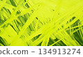 A painting of green grass with yellow paint 134913274