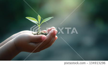 Plants grown in the palm of your hand 134913296