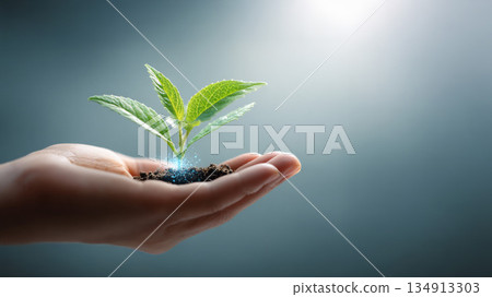 Holograms on palm-grown plants 134913303