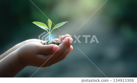 Holograms on palm-grown plants 134913308