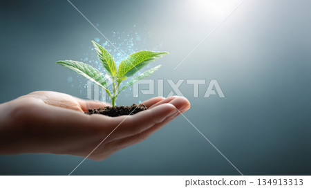 Holograms on palm-grown plants 134913313