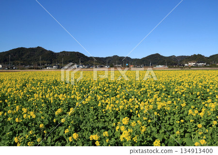 蔬菜田路（鴨川市） 134913400