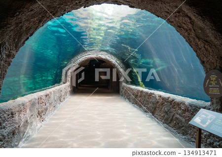 Giant otter tank Giant otter tank 134913471