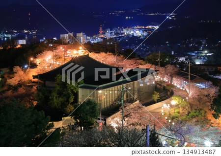 [廣島縣]千光寺公園的夜櫻（尾道） 134913487