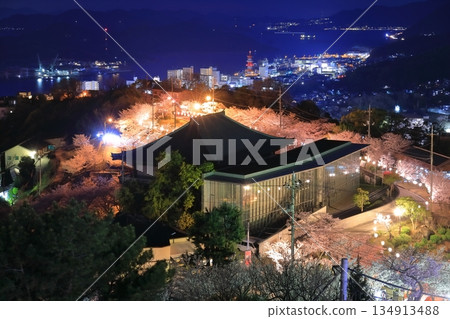 [Hiroshima Prefecture] Night cherry blossoms in Senkoji Park (Onomichi) 134913488