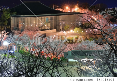 [廣島縣]千光寺公園的夜櫻（尾道） 134913491
