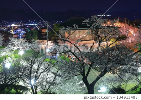 [廣島縣]千光寺公園的夜櫻（尾道） 134913493