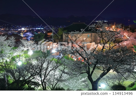 [廣島縣]千光寺公園的夜櫻（尾道） 134913496