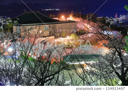 [廣島縣]千光寺公園的夜櫻（尾道） 134913497