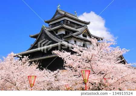 [島根縣]盛開的松江城天守閣（國寶） 134913524