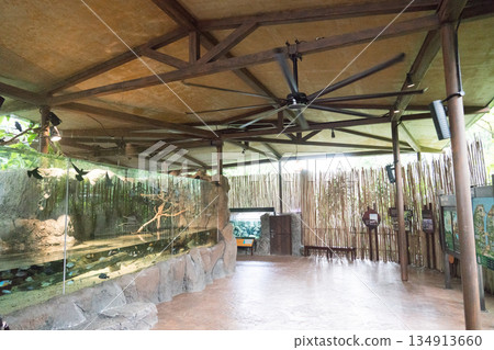 新加坡 動物 水族館 134913660