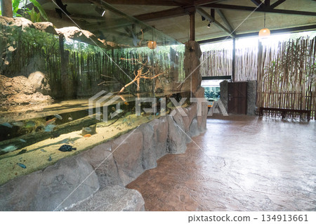 新加坡 動物 水族館 134913661