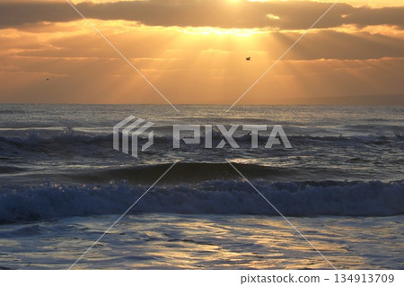 Rays of light and waves Rays of light and waves 134913709
