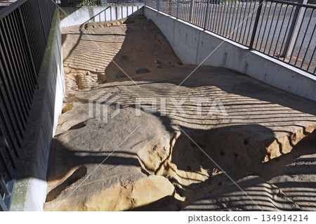 東參道武藏道遺跡重建及展覽設施 [東京國分寺] 134914214
