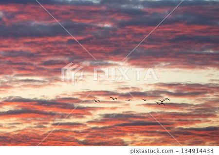 冬日清晨，湖面波光粼粼。 134914433