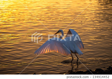A sparkling winter morning on the lake A sparkling winter morning on the lake 134914452