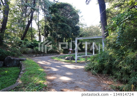 Scenery of Yumenoshima Greenway Park in Koto Ward, Tokyo 134914724