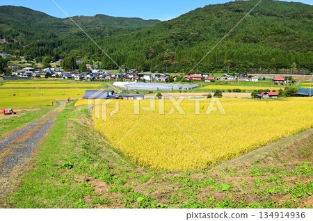 Akinomiyamori rice terrace area Akinomiyamori rice terrace area 134914936