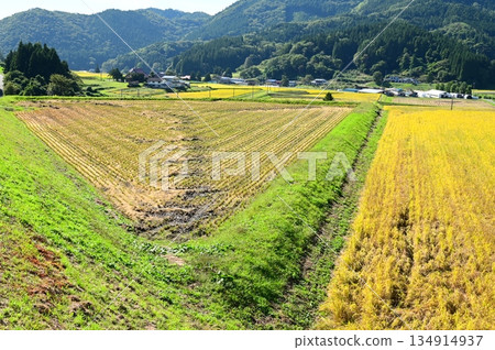 秋宮森梯田 134914937