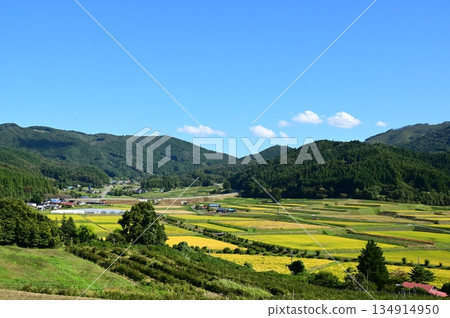 秋宮森梯田 秋宮森梯田 134914950