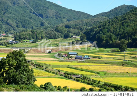 Akinomiyamori rice terrace area Akinomiyamori rice terrace area 134914951
