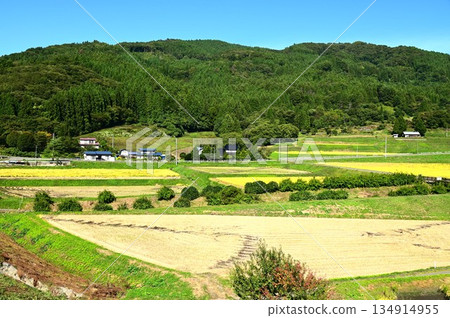 秋宮森梯田 134914955
