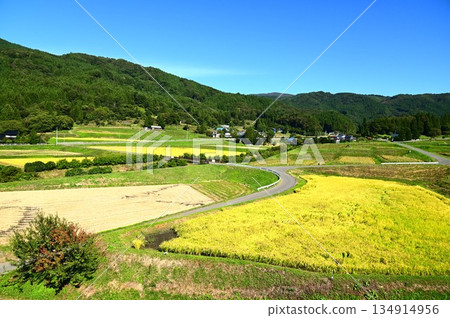 秋宮森梯田 134914956