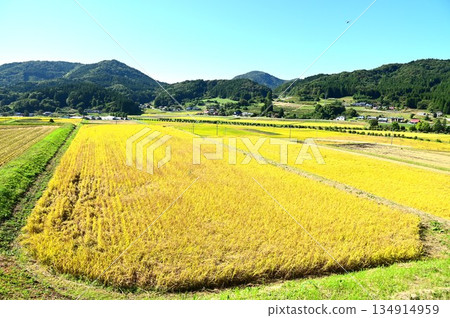 Akinomiyamori rice terrace area 134914959