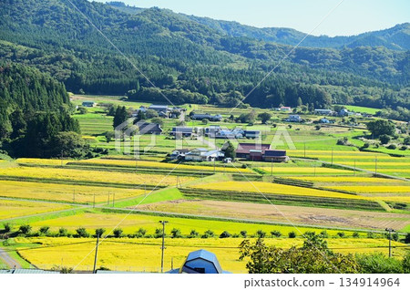 秋宮森梯田 秋宮森梯田 134914964