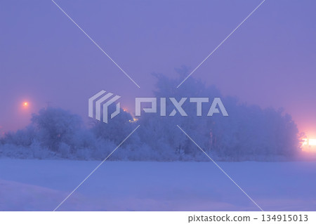 Trees in snow and city lights in winter foggy night. 134915013