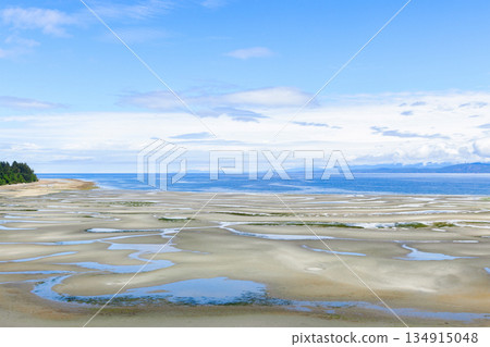 Wide sandy beach at low tide with tidepools in sunny day. Wide sandy beach at low tide with tidepools in sunny day. 134915048