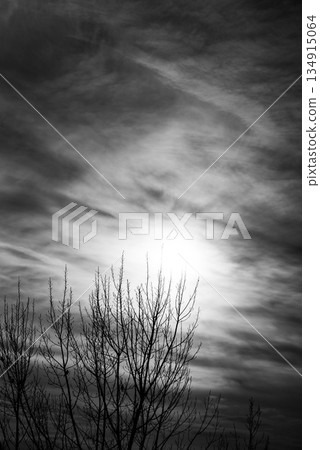 Evening view of the fields, riverbed 134915064