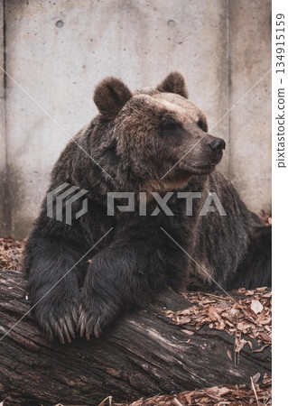 Weather Weather 134915159