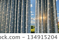 Behind the curtains is a bright sun and a peaceful landscape 134915204