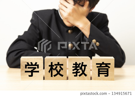 一名男學生對寫著「學校教育」的方框感到擔憂 一名男學生對寫著「學校教育」的方框感到擔憂 134915671