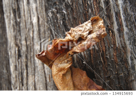 Antiques in the home rural village India Antiques in the home rural village India 134915693