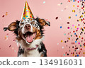 Dog celebrating birthday wearing cone hat. Happy birthday greeting card with funny puppy and copy space. Generated AI 134916031