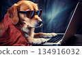 Dog works with the laptop. Remote work or freelance concept with funny puppy. Generated AI. 134916032