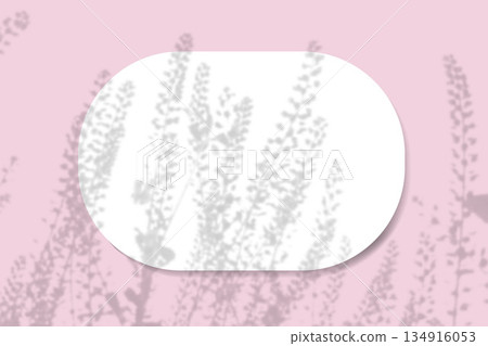 Natural light casts shadows from field grass on an oval sheet of white paper lying on a horizontal pink background. Mockup 134916053