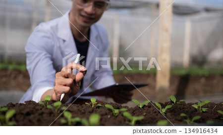 A scientist in a greenhouse examining soil near young seedlings, showing research, analysis, and modern agriculture practices 134916434