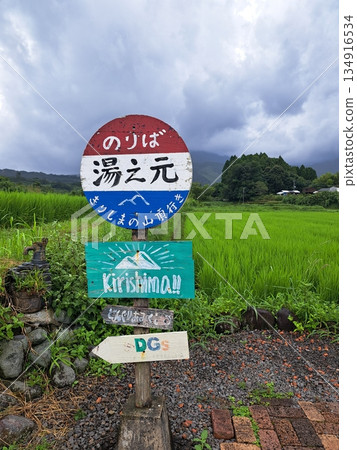 Totoro image Totoro image 134916534