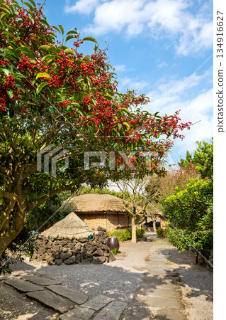 Traditional houses in Jeju Island Traditional houses in Jeju Island 134916627