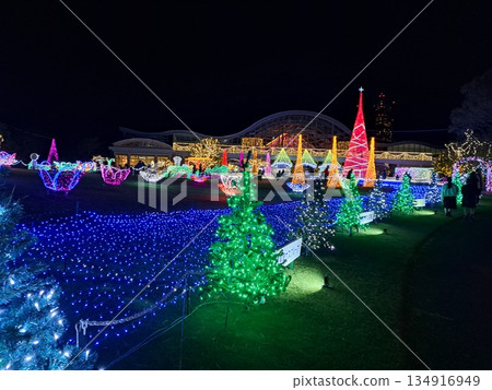 美麗的聖誕節 134916949