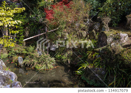 Nov 23 2025 Zen Garden at Hosen in Temple in Autumn 134917079